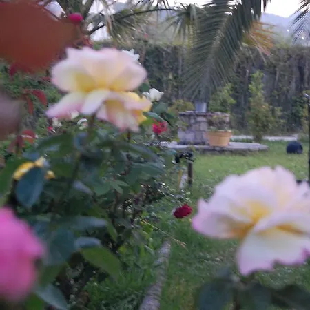 Morfi Apartament Kalligoni