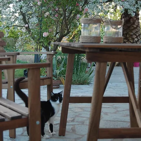 Morfi Apartament Kalligoni