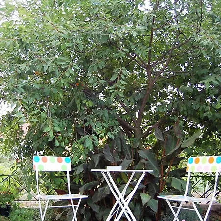 Morfi Apartament Kalligoni