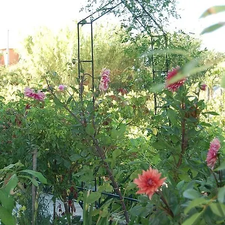 Morfi Apartament Kalligoni